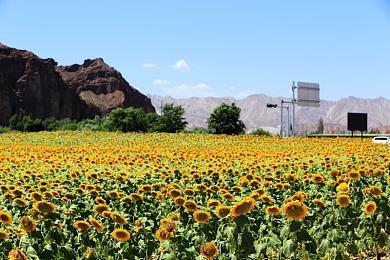 亦正亦邪《自杀小队：杀死正义联盟》豪华版预告